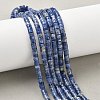 Natural Sodalite Beads Strands G-P468-19-5