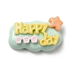 Opaque Resin Cabochons LS-RESI-K026-01F-1