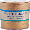 Raffia Paper Cords for DIY Jewelry Making OCOR-BC0001-02A-1