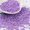 Baking Paint Glass Seed Beads SEED-S042-05B-71-1