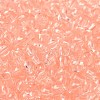 Transparent Colours Glass Seed Beads SEED-P007-02A-05-3