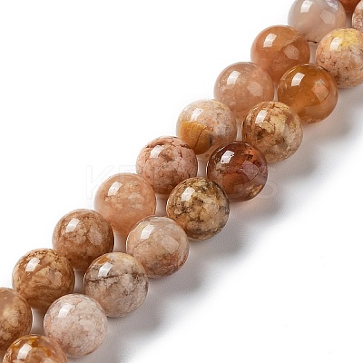 Natural Flower Agate Beads Strands G-B044-A01-02-1