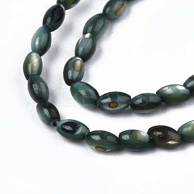 Natural Freshwater Shell Beads Strands X-SHEL-N003-25-B01-1