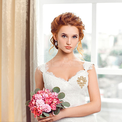 Teardrop Shape Alloy Rhinestone Appliques FIND-FG0002-19A-1