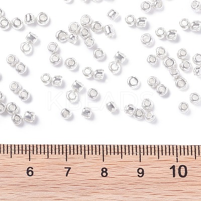 8/0 Glass Seed Beads X1-SEED-A017-3mm-1109-1