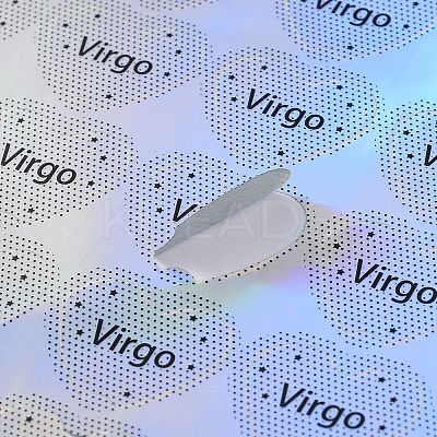 A4 Waterproof PVC Self Adhesive Laser Sticker AJEW-R096-01-1