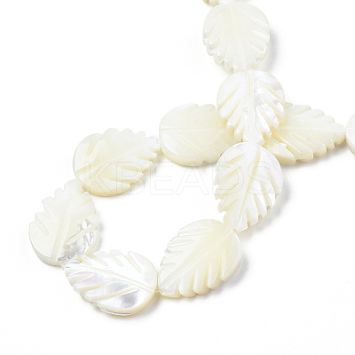 Natural Trochid Shell/Trochus Shell Beads Strands SSHEL-N034-136B-01-1