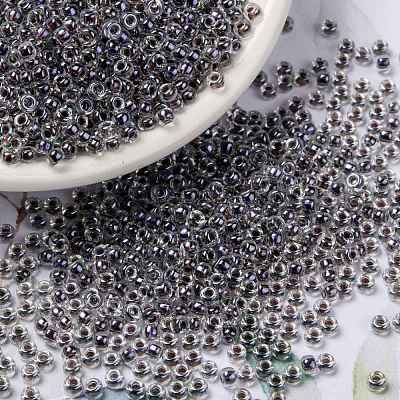 MIYUKI Round Rocailles Beads X-SEED-G008-RR3203-1