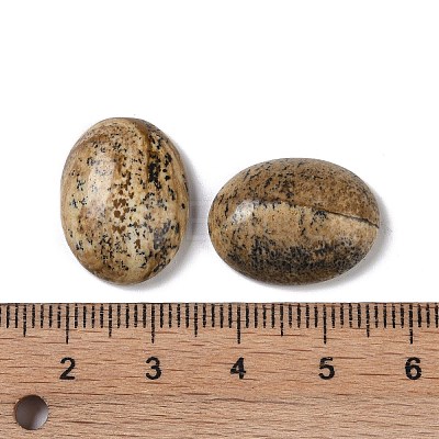 Natural Picture Jasper Cabochons G-B080-01A-11-1