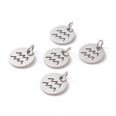 Non-Tarnish 304 Stainless Steel Charms STAS-Q201-T445-11S-1