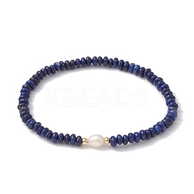Natural Lapis Lazuli Rondelle & Pearl Beaded Stretch Bracelets BJEW-JB09918-07-1