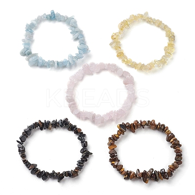 12 Constellation Natural Mixed Gemstone Chip Beaded Stretch Bracelets Sets for Women Men BJEW-JB10264-08-1