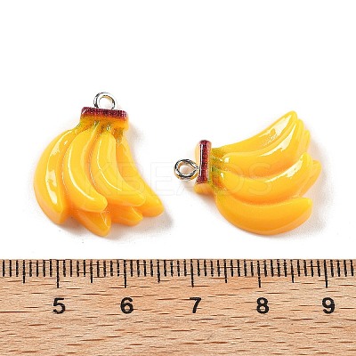 Opaque Resin Pendants RESI-S013-02L-1