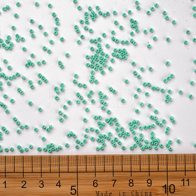 12/0 FGB Grade A Round Glass Seed Beads SEED-N001-A-1030-1