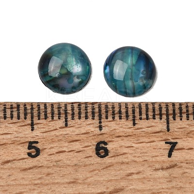 Abalone Shell/Paua Shell Cabochons SSHEL-K003-8MM-1