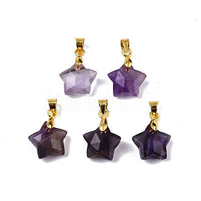 Natural Amethyst Charms G-N326-142-03-1