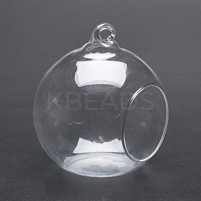 Transparent Wall Hanging Glass Ball Planter Terrarium Container Vase DIY-L047-01-1