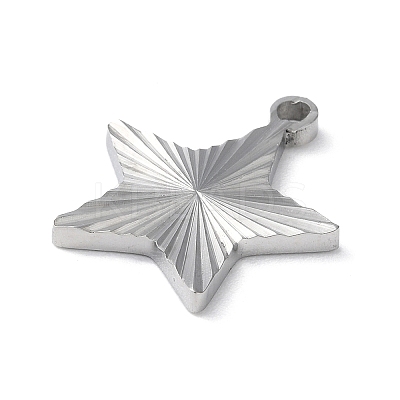 Non-Tarnish 304 Stainless Steel Pendants STAS-D025-04P-02-1
