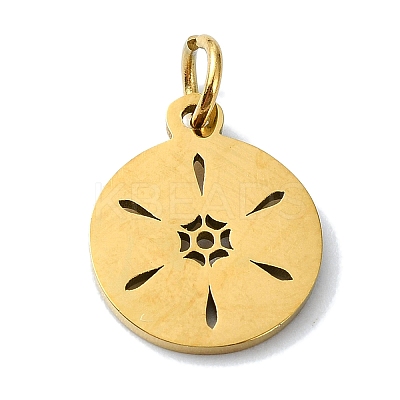 304 Stainless Steel Charms STAS-C097-46G-03-1