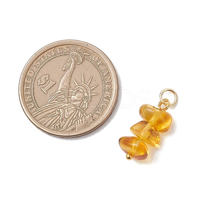 3Pcs 3 Styles Natural Amber Nuggets Pendants PALLOY-JF04851-1