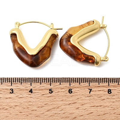 Brass Resin Hoop Earrings EJEW-P333-11A-G02-1