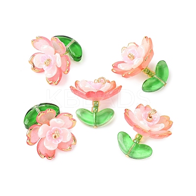 Transparent Acrylic Pendants PALLOY-MZ00823-02-1