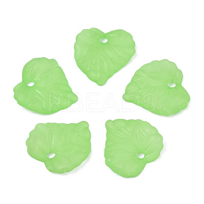 Transparent Acrylic Pendants TACR-S157-01B-1