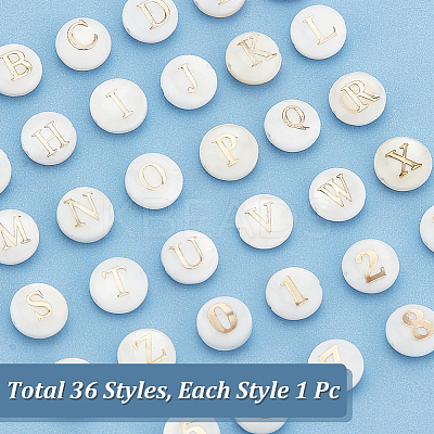 Natural Shell Beads SHEL-PH0001-53-1