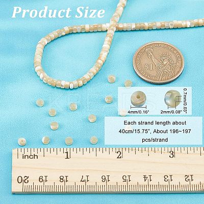 1 Strand Natural Trochid Shell/Trochus Shell Beads Strands BSHE-NB0001-18-1