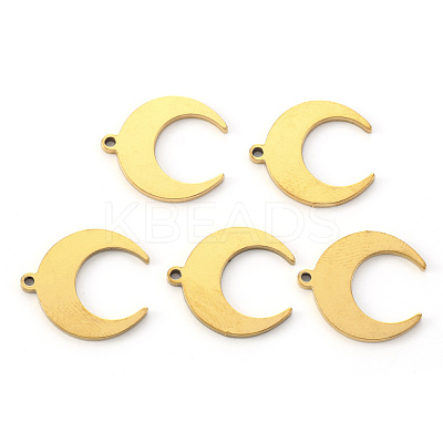 PVD Vacuum Plating 304 Stainless Steel Pendants STAS-N092-102G-1