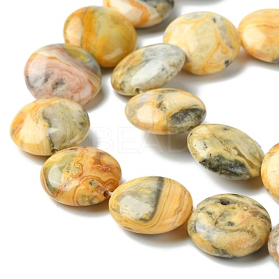 Flat Round Natural Crazy Lace Agate Beads Strands G-S110-05-1