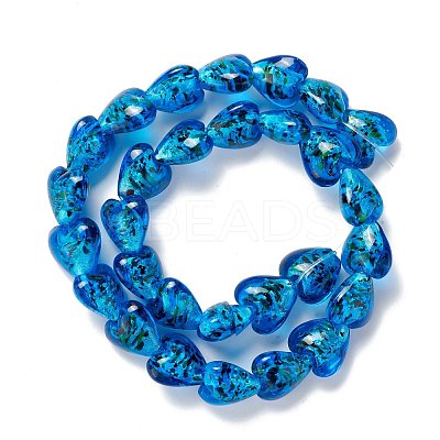Handmade Lampwork Beads Strands LAMP-D015-09G-1