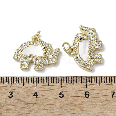 Brass Micro Pave Cubic Zirconia Charms KK-G485-24B-G-1