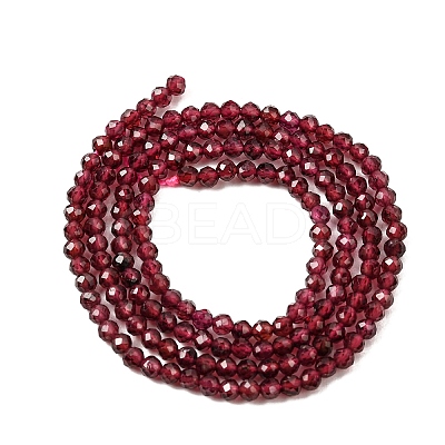 Natural Garnet Beads Strands X-G-J002-20-1