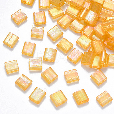 FGB 2-Hole Baking Paint Transparent Glass Seed Beads X-SEED-S031-L-251-1