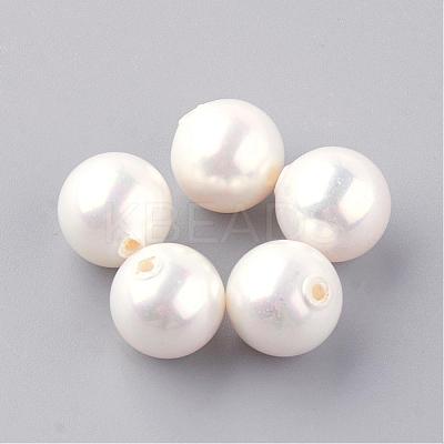 Natural Sea Shell Beads SHEL-Q008-18-5mm-1