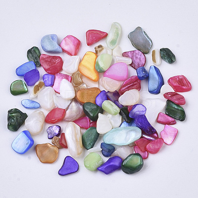 Natural Freshwater Shell Beads X-SHEL-N003-03-1