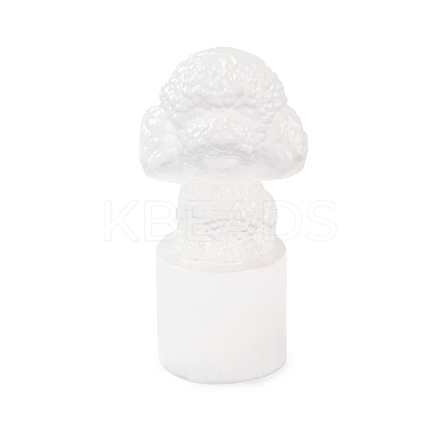 Natural Selenite Figurines DJEW-Q006-01H-1