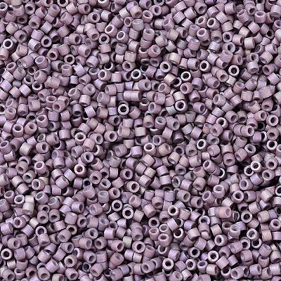 MIYUKI Delica Beads SEED-X0054-DB1064-1