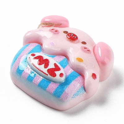 Pig Theme Opaque Resin Decoden Cabochons LS-RESI-I057-A02-1