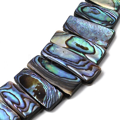 Natural Paua Shell Beads Strands BSHE-S305-01B-1