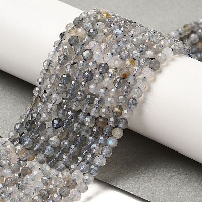Natural Rainbow Moonstone Beads Strands LS-G-R475-025D-1