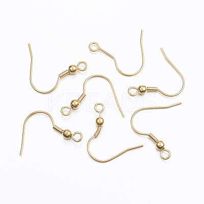 304 Stainless Steel Earring Hooks X1-STAS-L187-03G-1