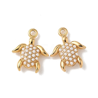304 Stainless Steel Charms LS-STAS-H483-26D-G-1