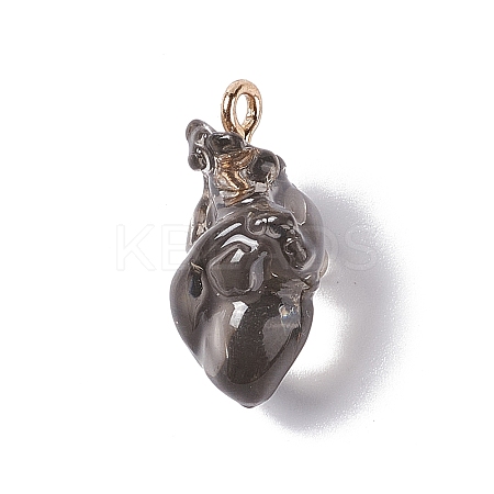 Transparent Resin Pendants RESI-E028-01G-02-1