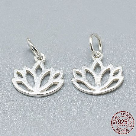 925 Sterling Silver Charms STER-T002-277S-1