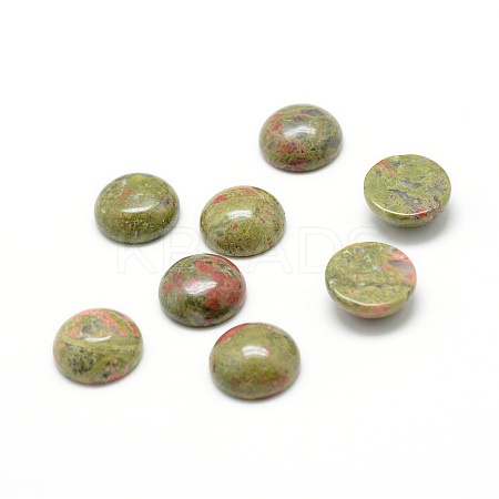 Natural Unakite Gemstone Cabochons X-G-T020-16mm-18-1