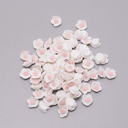Resin Cabochons CRES-WH0002-13B-1