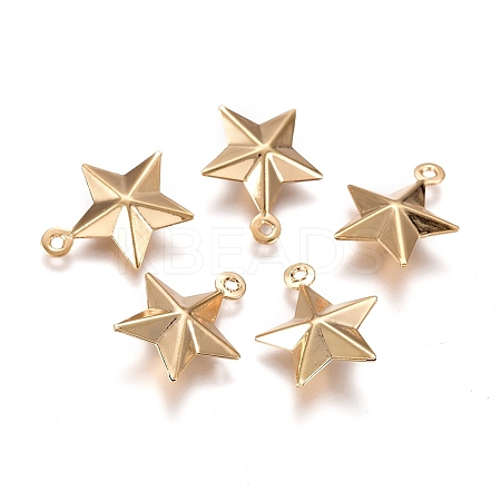 304 Stainless Steel Pendants LS-X-STAS-I138-12G-1