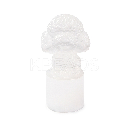 Natural Selenite Figurines DJEW-Q006-01H-1